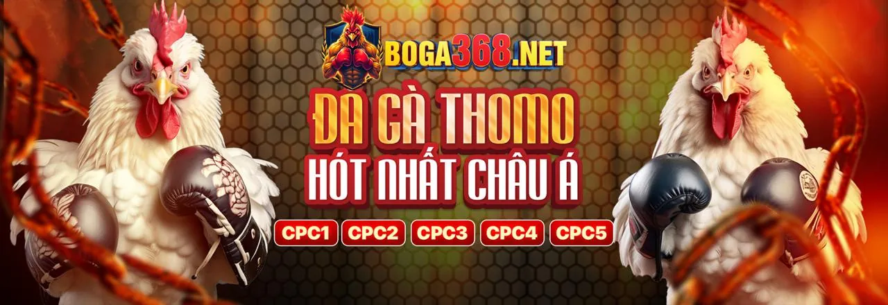 Đá gà trực tiếp tin68 với các trận đấu đỉnh cao