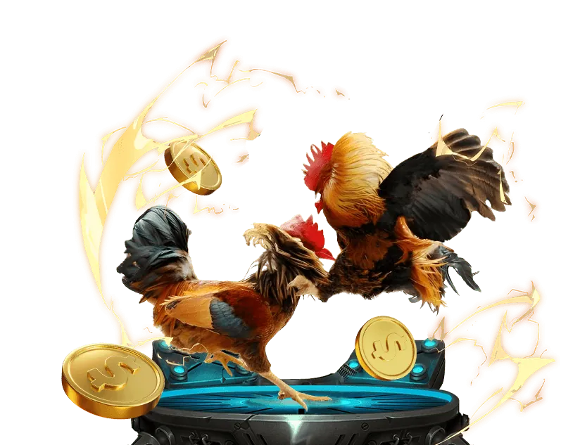 Giao diện đặt cược đá gà tin68 trên điện thoại